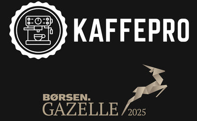 Utmärkelsen Børsen Gazelle 2025
